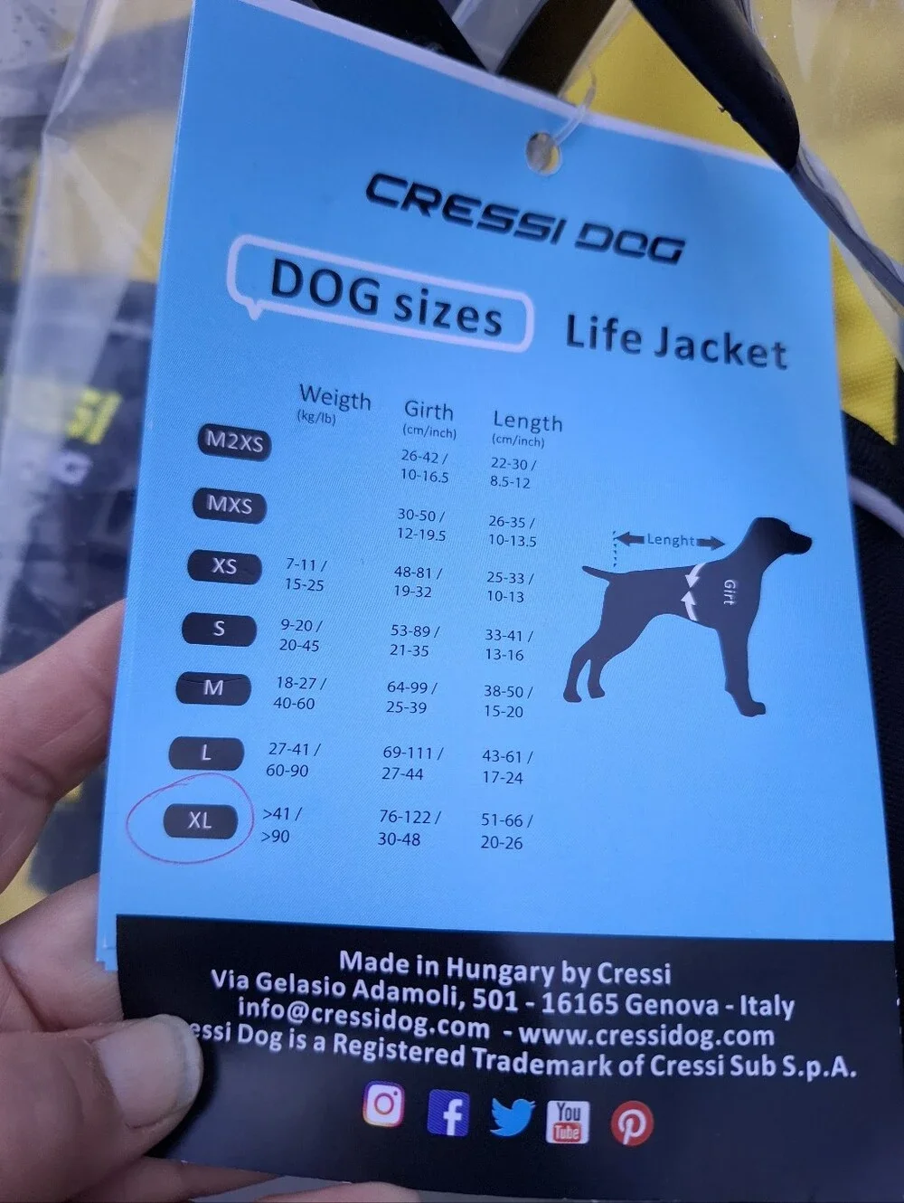 Cressi DLJ Dog Life Jacket XL Black Yellow - New With Tags